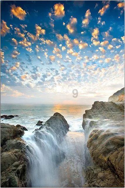 诱捕小浣熊